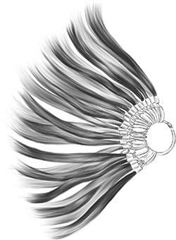 Priority access to Collection Systems