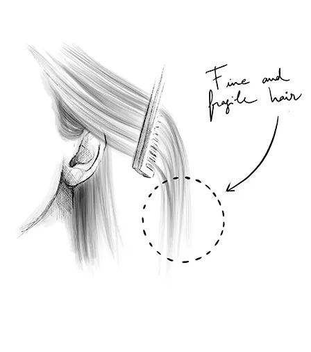 Fine and fragile hair